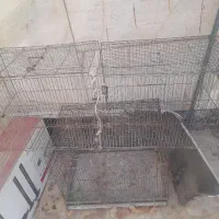 دوتا قفس بزرگ برای پرنده و مرغ سگ گربه
