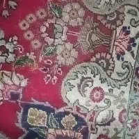 فرش|فرش|شیراز, گلکوب|دیوار