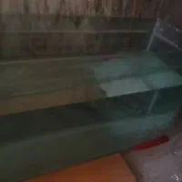 آکواریوم