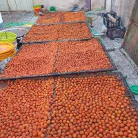 محصولات شهر بار از تولید به مصرف