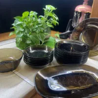 سرویس ورکو دودی