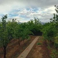 باغ-فروشی-در-روستای-میم