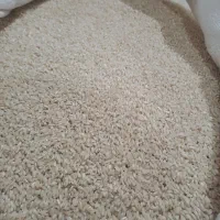 برنج عنبربو|خوردنی و آشامیدنی|دره شهر, |دیوار