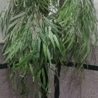 درختچه مصنوعیی