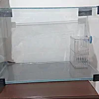 اکواریوم شرکتی