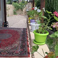 اجاره ویلا در بهترین لوکیشن بهشت گیلان سقالکسار|اجارهٔ کوتاه‌مدت ویلا و باغ|رشت, استقامت 1|دیوار
