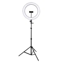 رینگ لایت بزرگ