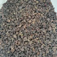 کشمش آفتابی