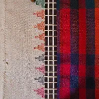 تار حرفه ای خوش صدا ساخت استاد ارام|سازهای سنتی|شیراز, دکتر حسابی|دیوار