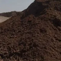 کود حیوانی مرغوب چند ساله