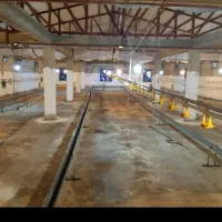 فروش-یک-واحد-مرغداری-15-هزار