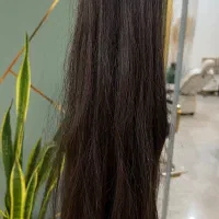 خریدار اصلی موی طبیعی با بالاترین قیمت شهسوار|خدمات آرایشگری و زیبایی|تنکابن, |دیوار