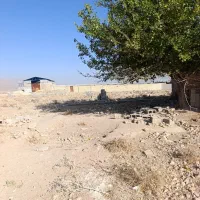 خونه|فروش خانه و ویلا|طسوج, |دیوار