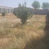 باغ اول جاده دولت آباد 843 متر(مجتمع احرار )|فروش زمین و ملک کلنگی|مشهد, شهرک لشکر (شهرک غرب)|دیوار
