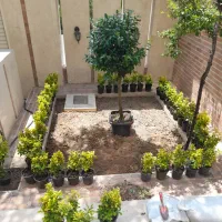 کلیه کار باغبانی هرس کاری تعویض خاک گلدان|خدمات باغبانی و درختکاری|تهران, تجریش|دیوار