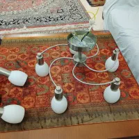 لوسترپنج شاخه