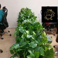 اجرا بوته برگ (فوتونیا،برگ مو)،برای باکس