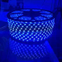 ریسه ( نور مخفی ) دو لاین LED آبی