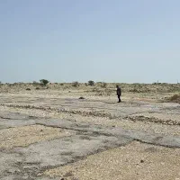 مهندس عمران یا معماری