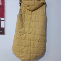 پافر نو|لباس|سبزوار, جهاد کشاورزی|دیوار