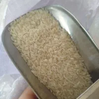 برنج پاکستانی کاشت