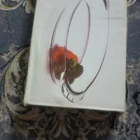 بشقاب