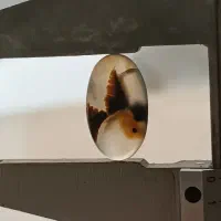 سنگ شجر شجر تک درخت|جواهرات|سلماس, |دیوار