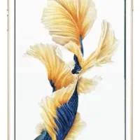 گوشیiphone 6s plus 64gb|موبایل|بجنورد, |دیوار