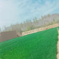 گردنبند گمشده