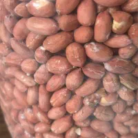 استخدام نیرو انبار