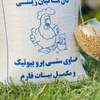 جوجه زینتی|حیوانات مزرعه|سیرجان, |دیوار