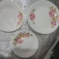 آرکوپال و بستنی خوری|ظروف سرو و پذیرایی|رباط‌کریم, رباط‌کریم|دیوار