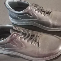 کفش مردانه|کیف، کفش، کمربند|سنندج, |دیوار