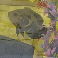 ماهی اوسکار