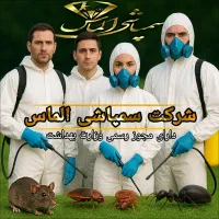 سمپاشی فوری ساس سوسک موش تضمینی بامجوز رسمی|خدمات نظافت|قدس, شهرقدس|دیوار