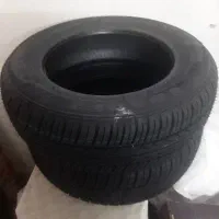 دو حلقه لاستیک بارز