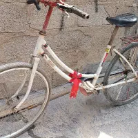 دوچرخه ژاپنی 24