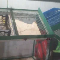 کلیه وسایل میوه فروشی|فروشگاه و مغازه|ملایر, |دیوار