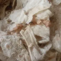 نان خشک