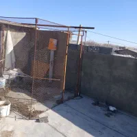 طوری کفتر|لوازم جانبی حیوانات|سامن, |دیوار