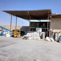 خاکشیر خرید فروش خرده عمده