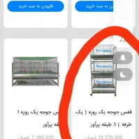 قفس مرغ گوشتی