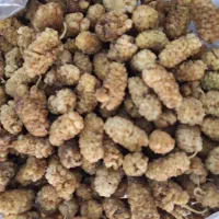 توت خوشک درجه یک پاک شده