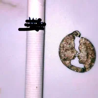 پلاک 14عیار زمرد با نگین های اصل و 2 رخ قدمتدار|جواهرات|کرج, ساسانی (قلمستان)|دیوار