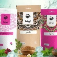 گرمازدگی
