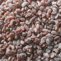 انواع کشمش و مویز ما در ملایر هستیم