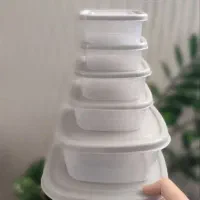 ظروف مایکروفری