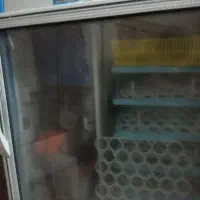 دستگاه جوجه کشی|لوازم جانبی حیوانات|زاهدان, |دیوار