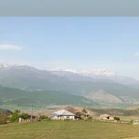 فروش خروس محلی