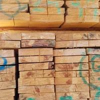 فروش اجاره کرایه تخته بنایی، داربست تخته قالی، خرک